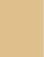 colorama-fundal-carton-2-75-x-11m-barley-38246-408