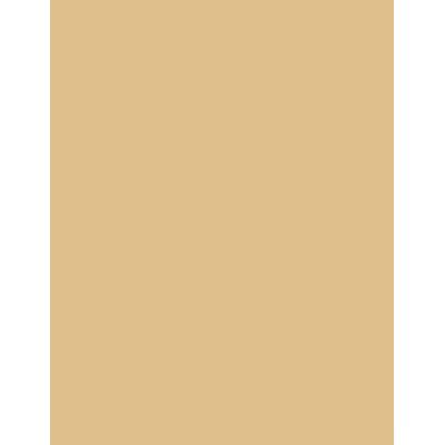 Colorama fundal carton 2.72 x 11m - Barley
