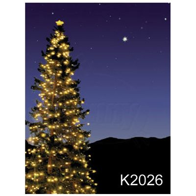 Dynaphos K2026  Fundal Pictat Manual 6x3m