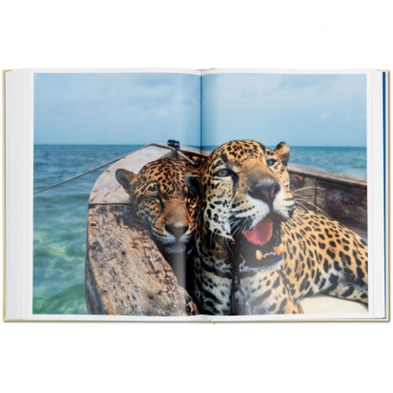 national-geographic--around-the-world-in-125-years-49240-5-215