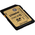 kingston-sdxc-ultimate-256gb--class-10-uhs-i-90mb-s-citire-45mb-s-scriere-49382-1-391