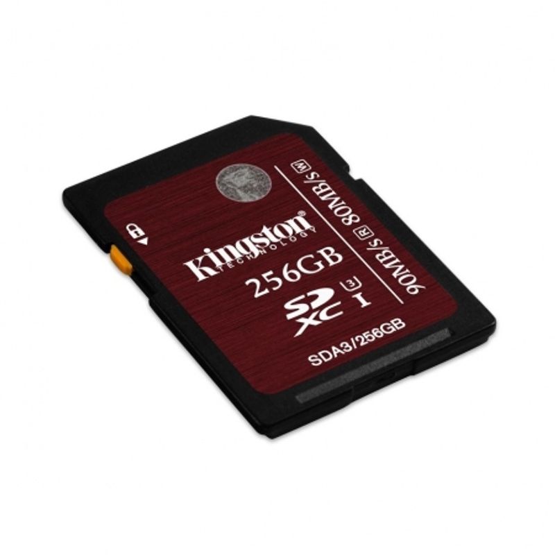 kingston-sdhc-256gb-class-10-uhs-i-90mb-s-49384-1-562