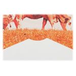 lomography-framecard-square-set-big-set-rame--plicuri-13x13-52004-3-294