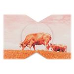 lomography-framecard-square-set-big-set-rame--plicuri-13x13-52004-4-763