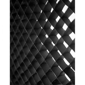 Dynaphos  Grid pentru softbox 22x90cm