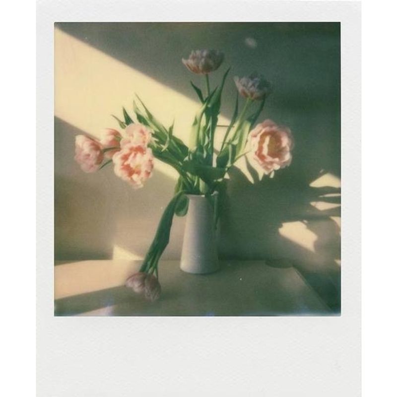 impossible-film-pachet-triplu-pentru-polaroid-600--2x4520--1x4521--55596-2-576