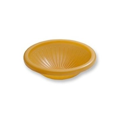 Gary Fong AmberDome