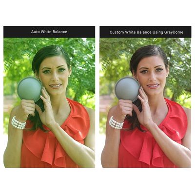 Gary Fong Color Reference Kit