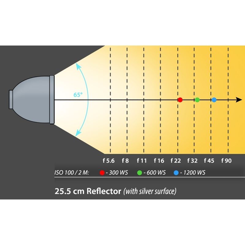 dynaphos-reflector-25-5-cm---65-grade--montura-bowens-60779-3-984