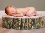pillow_tree_stump.1_1024x1024