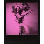 impossible-duochrome-film-negru---roz-pentru-600-61658-3-606