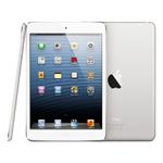 apple-ipad-mini-16gb-wi-fi-alb-25279