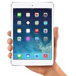 apple-ipad-mini-2-64gb-wi-fi-alb-30392-3