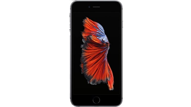 Apple iPhone 6s スペースグレー 本体 89% 16GB Telefon APPLE iPhone 6S, 16GB, 2GB RAM, Space Gray
