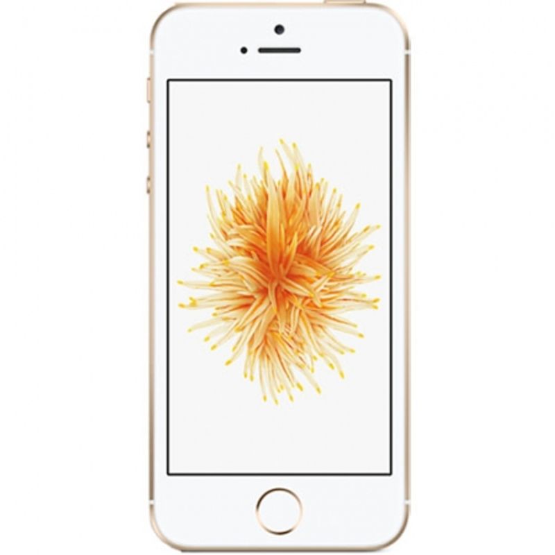 apple-iphone-se-4------dual-core--2gb-ram--16gb--4g-auriu-50801-896