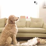 xiaomi-small-square-smart-camera-de-supraveghere--wi-fi-64224-4-311