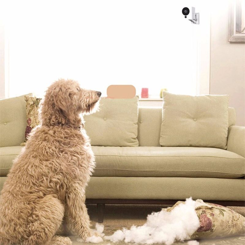 xiaomi-small-square-smart-camera-de-supraveghere--wi-fi-64224-4-311