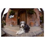 nikon-af-dx-fisheye-nikkor-10-5mm-f-2-8g-ed-4064-10