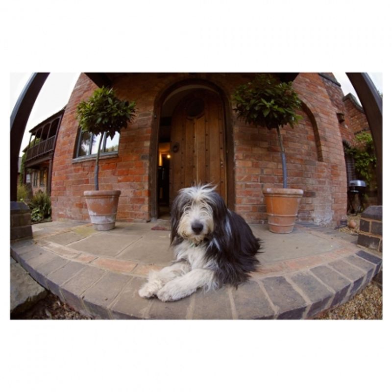 nikon-af-dx-fisheye-nikkor-10-5mm-f-2-8g-ed-4064-10