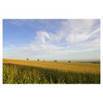 nikon-af-s-dx-zoom-nikkor-17-55mm-f-2-8g-if-ed-4769-3