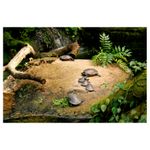 tamron-sp-17-50mm-f-2-8-xr-di-ii-ld-aspherical-if-pentax---samsung-6592-6