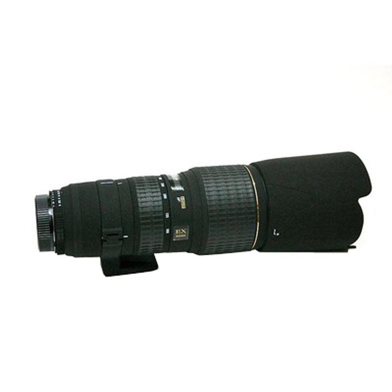 sigma-100-300mm-f-4-ex-dg-if-hsm-nikon-af-s-fx-9083-2