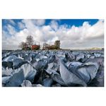 nikon-af-s-dx-nikkor-10-24mm-f-3-5-4-5g-ed-10352-3