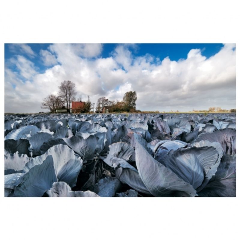 nikon-af-s-dx-nikkor-10-24mm-f-3-5-4-5g-ed-10352-3