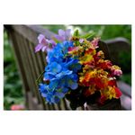 nikon-af-s-dx-micro-nikkor-85mm-f-3-5g-ed-vr--11989-9