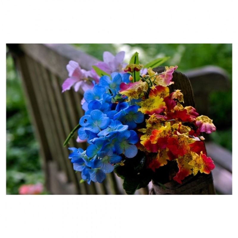 nikon-af-s-dx-micro-nikkor-85mm-f-3-5g-ed-vr--11989-9