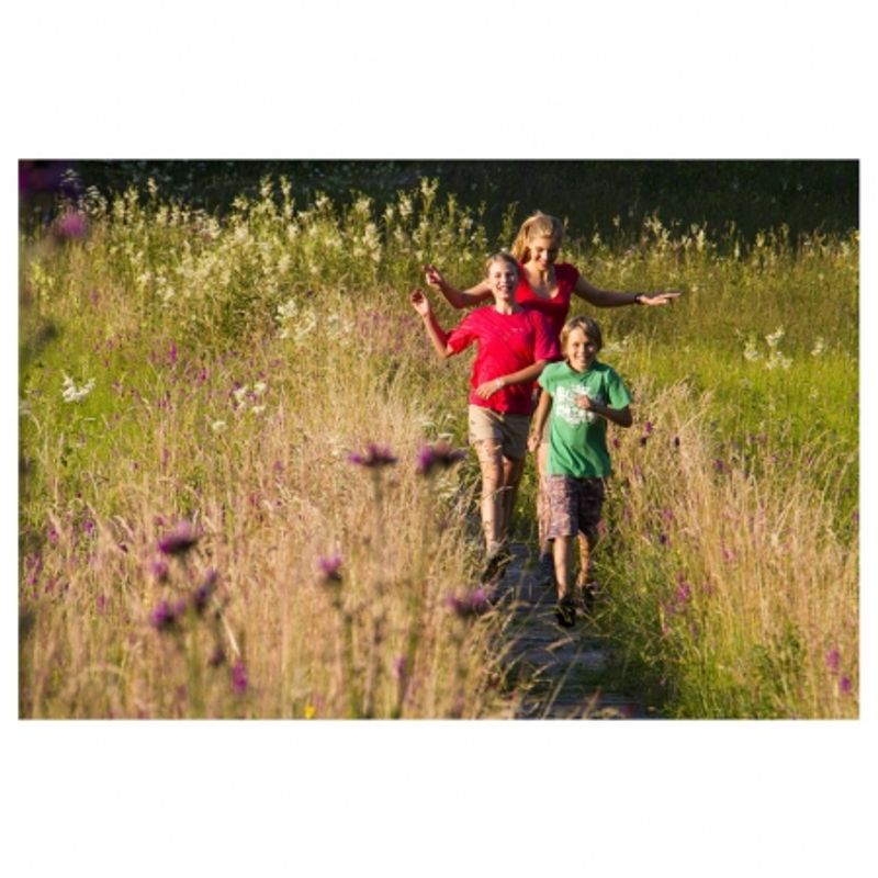 tamron-af-s-18-270mm-f-3-5-6-3-di-ii-vc-pzd-nikon-17520-2
