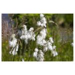 tamron-af-s-18-270mm-f-3-5-6-3-di-ii-vc-pzd-nikon-17520-6