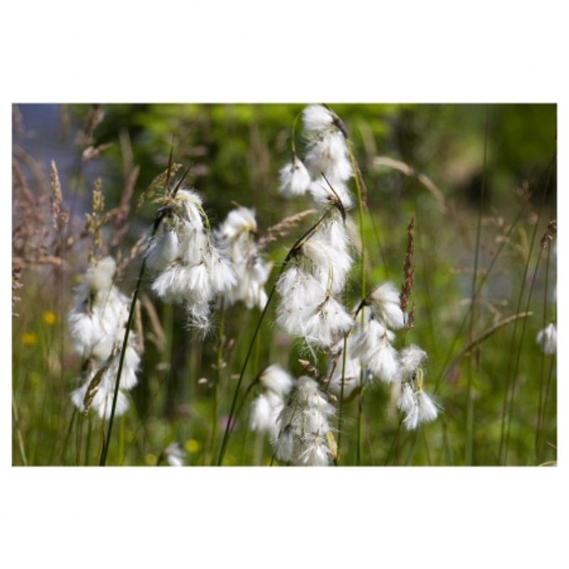 tamron-af-s-18-270mm-f-3-5-6-3-di-ii-vc-pzd-nikon-17520-6