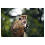 tamron-sp-70-300mm-f-4-5-6-di-usd-sony-18794-3