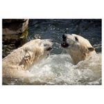 tamron-sp-70-300mm-f-4-5-6-di-usd-sony-18794-4