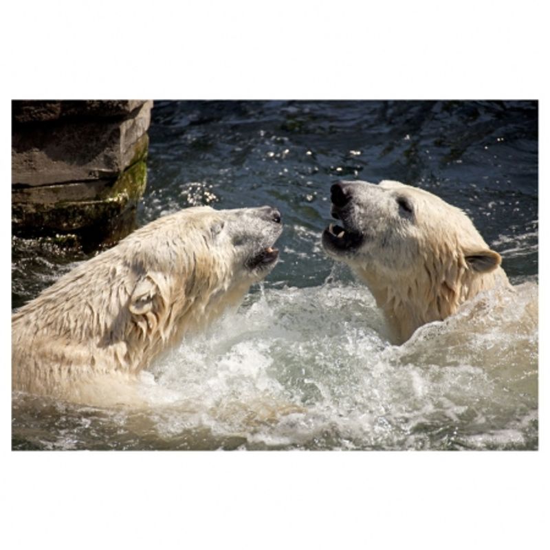tamron-sp-70-300mm-f-4-5-6-di-usd-sony-18794-4