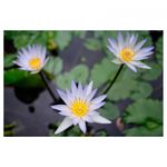 nikon-af-s-nikkor-28mm-f-1-8g-22624-4