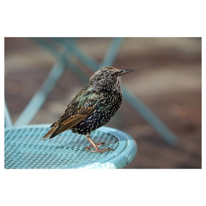 tamron-afs-sp-70-200mm-f-2-8-di-vc-usd-nikon-23697-2