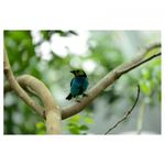 nikon-af-s-nikkor-70-200mm-f-4g-ed-vr-24181-4