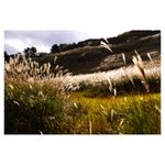 sigma-35mm-f-1-4-dg-hsm-art-pentax-25013-3