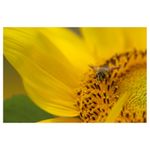 tamron-70-200mm-f-2-8-sp-di-ld-sony-rs105846-1-59934-10