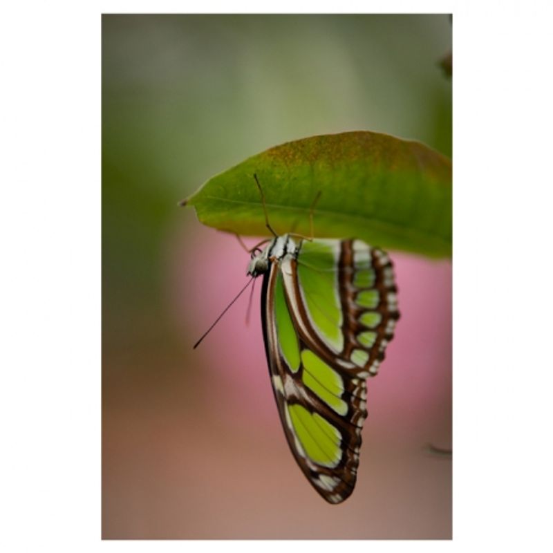 tamron-70-200mm-f-2-8-sp-di-ld-sony-rs105846-1-59934-11