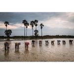 panasonic-lumix-dmc-gh5-kit-12-60mm-f2-8-4-leica-vario-elmarit-dg-o-i-s-rs125033135-65473-17