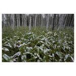 nikon-af-s-nikkor-18-35mm-f-3-5-4-5g-ed-25396-3