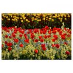 nikon-af-s-dx-nikkor-18-140mm-f-3-5-5-6g-ed-vr-28887-6