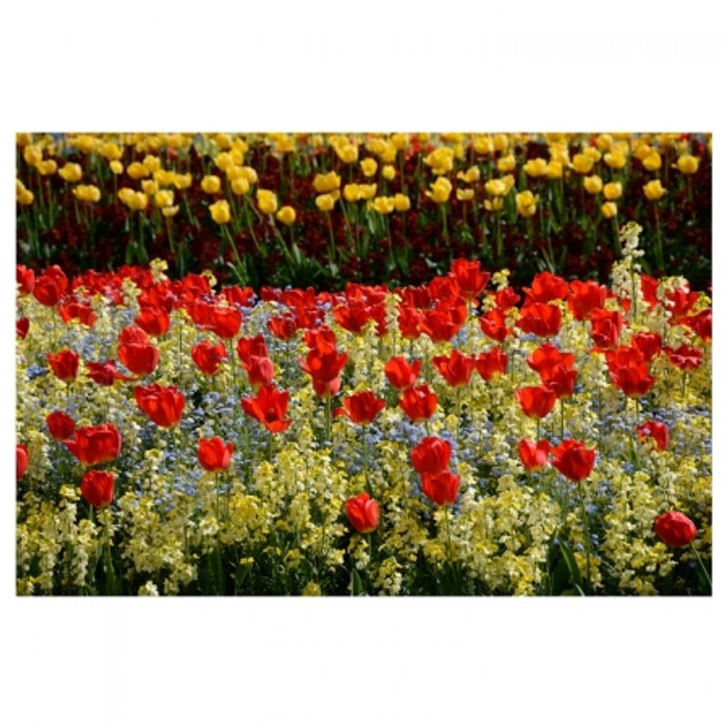 nikon-af-s-dx-nikkor-18-140mm-f-3-5-5-6g-ed-vr-28887-6