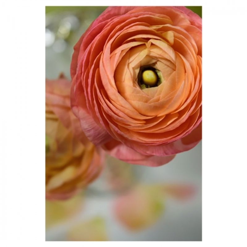 nikon-18-55mm-f-3-5-5-6g-vr-ii-af-s-dx--31412-4
