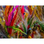 samyang-12mm-2-0-ncs-cs-montura-fujifilm-x-33010-8
