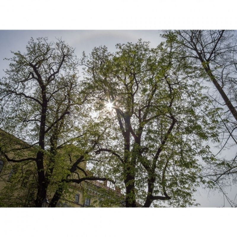 samyang-12mm-2-0-ncs-cs-montura-samsung-nx-33013-6