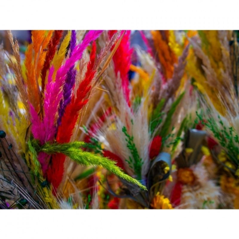 samyang-12mm-2-0-ncs-cs-montura-samsung-nx-33013-8